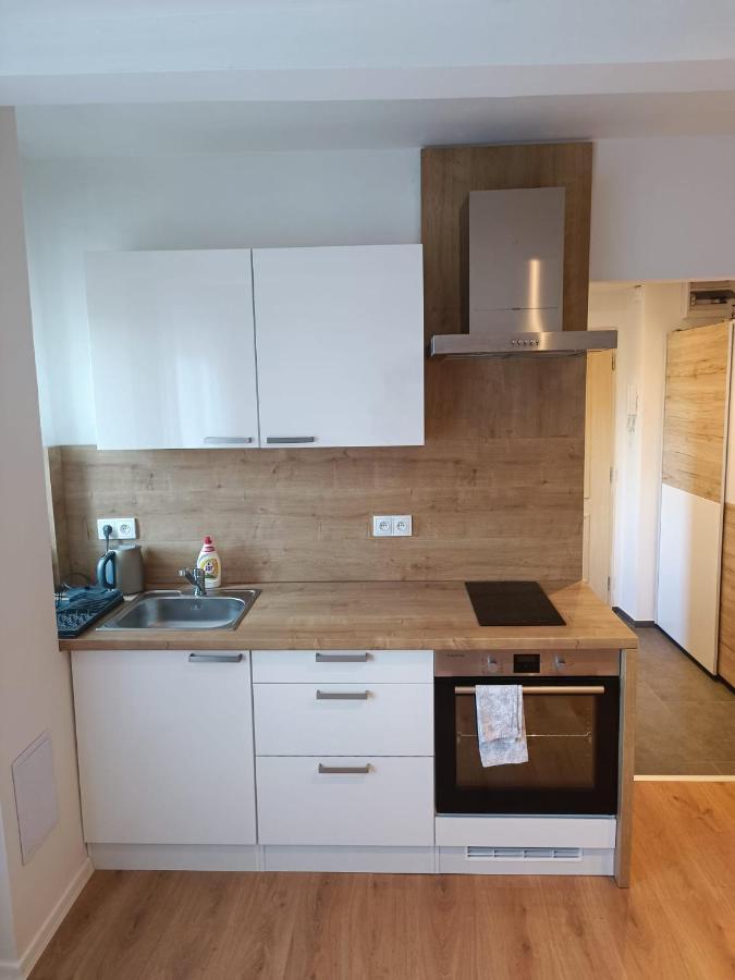 Zoo Karlovarska Apartment Plzeň Eksteriør billede