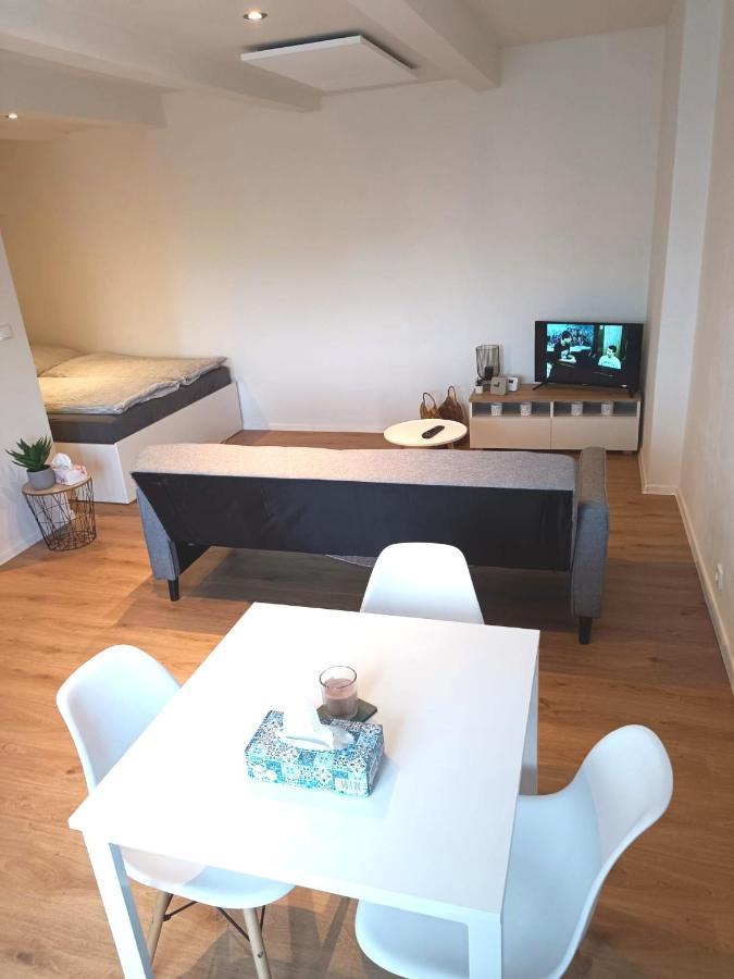 Zoo Karlovarska Apartment Plzeň Eksteriør billede