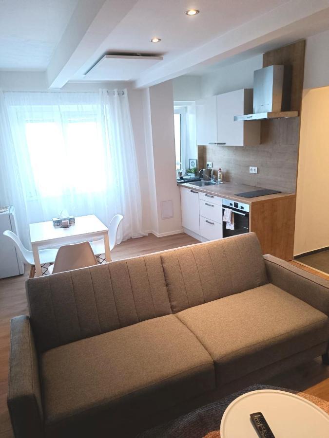 Zoo Karlovarska Apartment Plzeň Eksteriør billede
