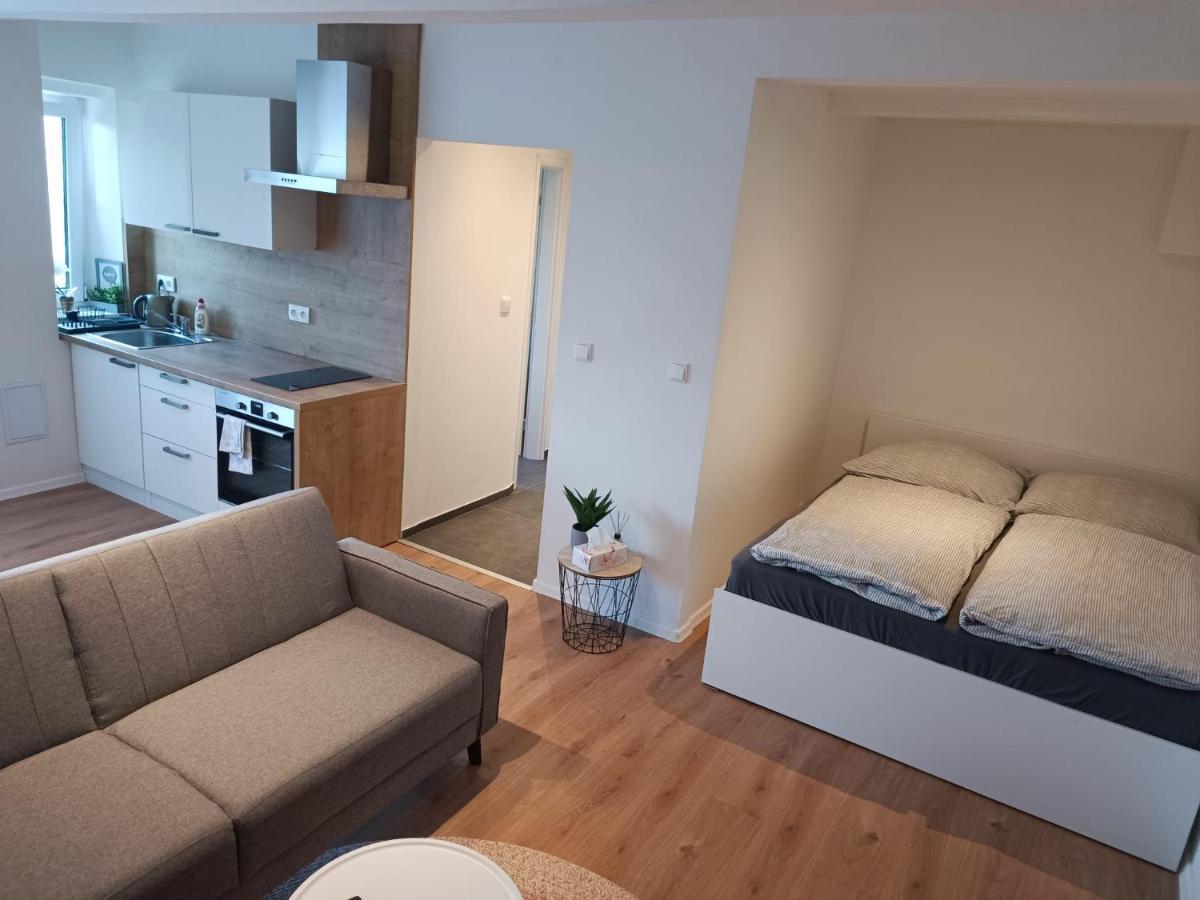 Zoo Karlovarska Apartment Plzeň Eksteriør billede